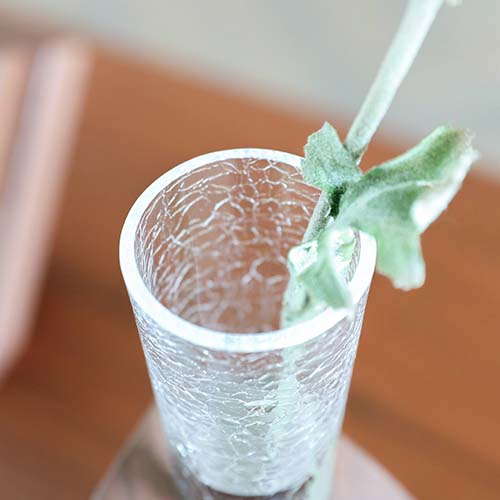 ー冠水器ー　苺の木と鳥　水差し&グラス　極美品 旭川クラフト JUN COBO 淳工房 Ki Glass 木グラス 一輪挿し 角台