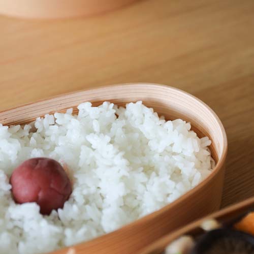 大館曲げわっぱ 栗久 弁当箱 小判入子 伝統工芸品 木製 弁当箱 | MUKU工房
