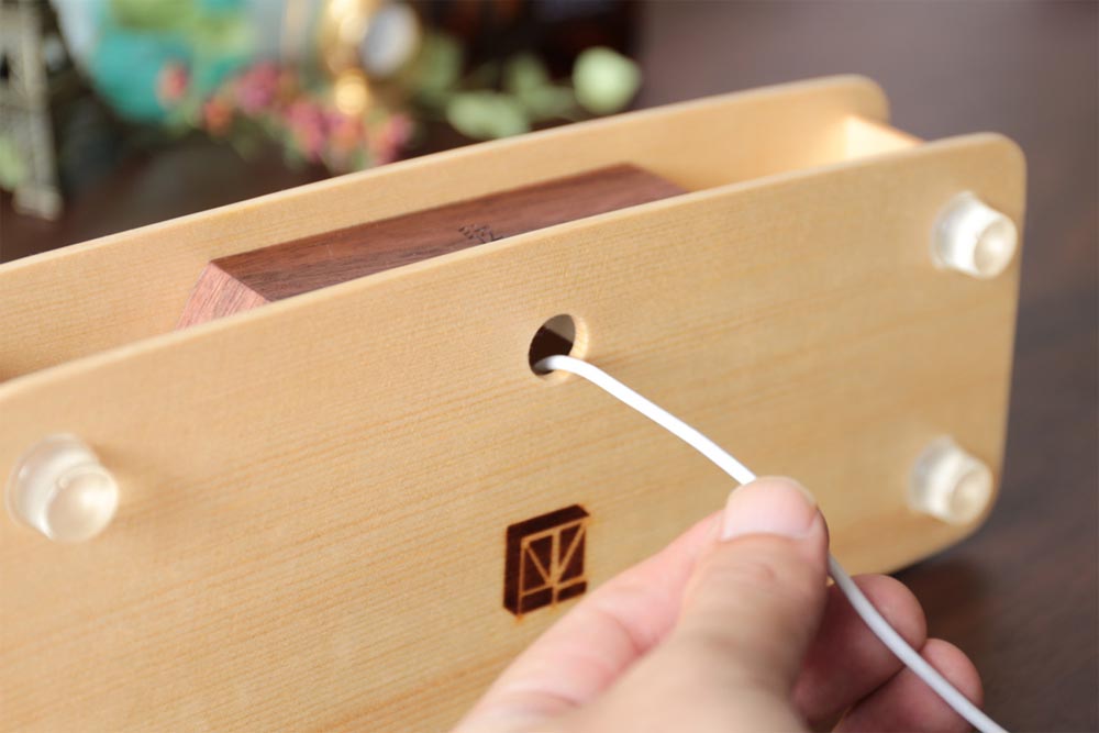 Gen wooden speaker